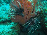 Curacao 04-12 099